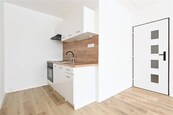 Prodej družstevního bytu 2+kk 40 m2, Františka Malíka, Most, cena 1920000 CZK / objekt, nabízí 