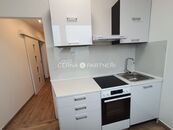 Pronájem bytu 1+1, Ústí nad Labem - Bukov, ul. Na Kohoutě 787, cena 10000 CZK / objekt / měsíc, nabízí Anna Černá Reality