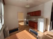 Pronájem bytu 1+1 Nová 1415/54, Střekov, Ústí nad Labem, cena 9000 CZK / objekt / měsíc, nabízí Anna Černá Reality