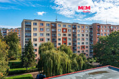 Pronájem bytu 1+1, 33 m2, Ústí nad Labem, ul. Šípková, cena 10000 CZK / objekt / měsíc, nabízí 